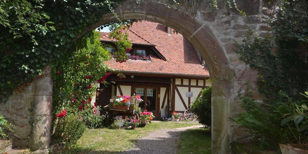 Domaine Du Neufeld Oberhaslach Exterior photo